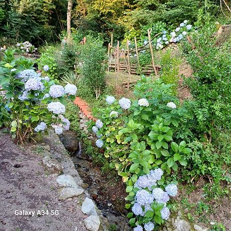 La Casetta Nel Verde Como Exteriér fotografie